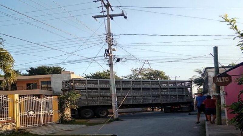 Un camión cargado con cerdos revienta cables y derriba postes en Tixkokob