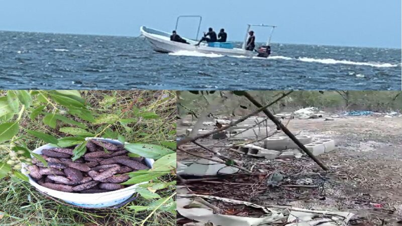 Con la protección de la autoridad municipal buzos furtivos depredan pepino de mar y caracol en Dzilam de Bravo