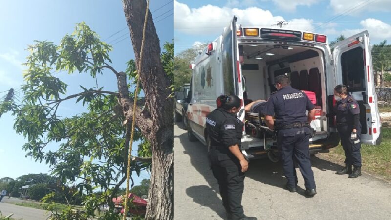 José se trepó a cortar las ramas de un mango y terminó lesionado en una clínica