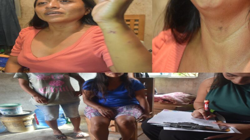 La Codhey investigara el caso de mujeres golpeadas y torturadas por policías de Seyé