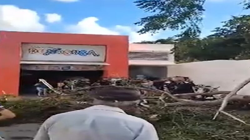 Cae un árbol en la entrada de un Dunosusa: Hay dos clientes lesionados.