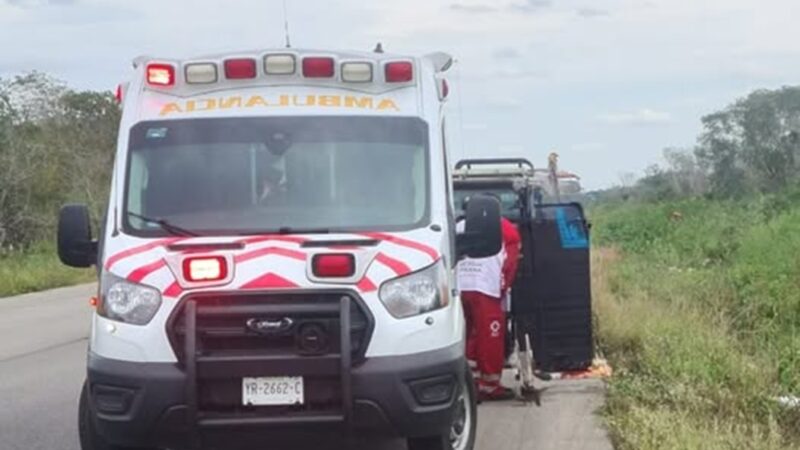 Paramédicos de la SSP reciben a un bebe dentro de una ambulancia