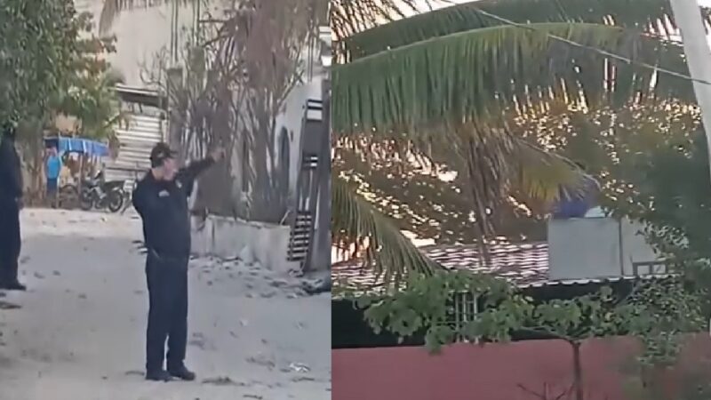 Como iguana: policías estatales a tirahulasos intentan detener a la Morsa en Celestún