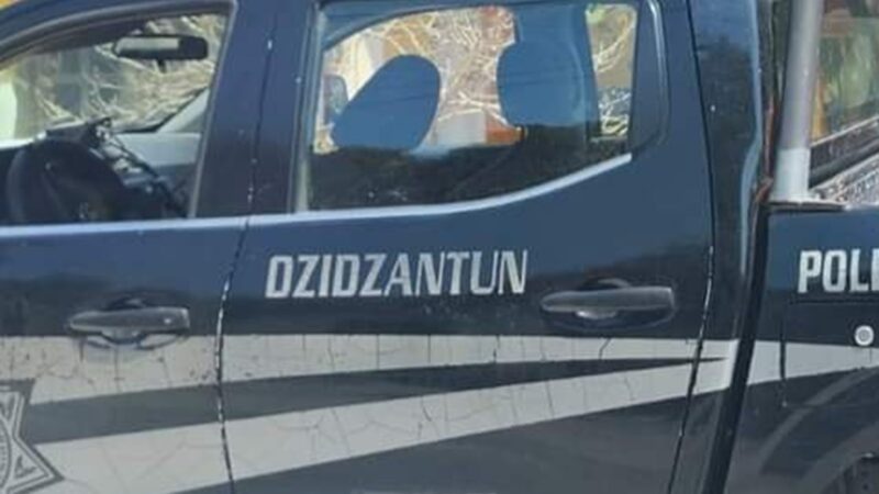 Buzos furtivos siguen depredando pulpo y caracol en el puerto de Santa Clara