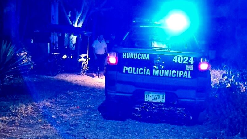 Cansado de que le coman sus gallinas le dispara a un Pitbull con un rifle de copitas en Hunucmá