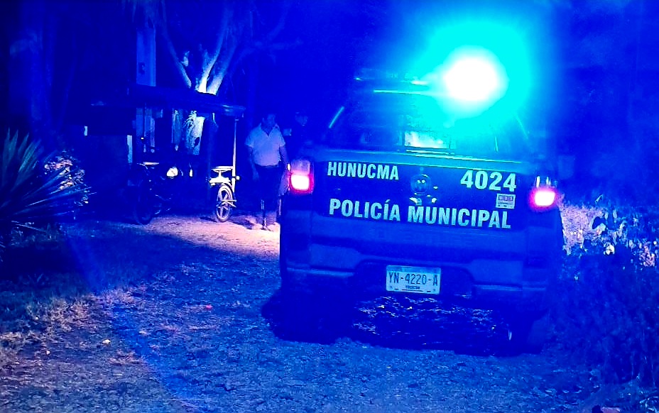 Cansado de que le coman sus gallinas le dispara a un Pitbull con un rifle de copitas en Hunucmá