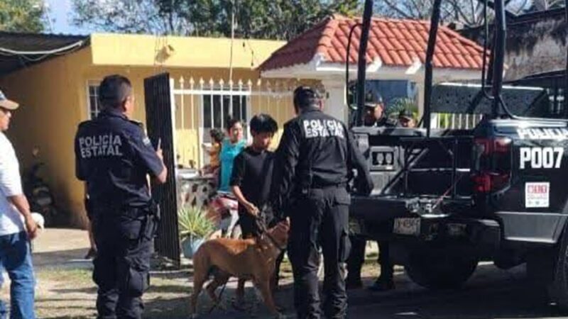 Pitbull muerde y lesiona a una abuelita en San Ignacio comisaria de Progreso