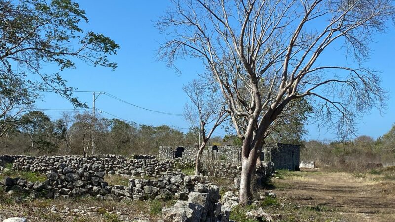 Una menor se embriaga y se queda dormida en una casa abandona en un rancho, luego dice que al violaron