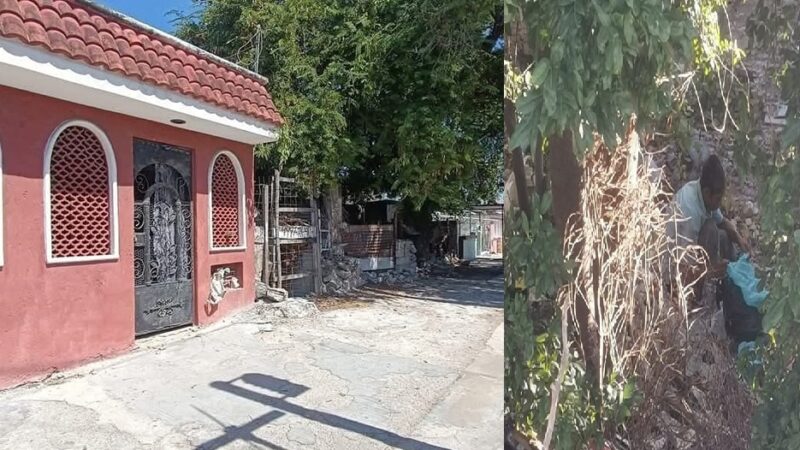 Casas abandonadas en la Dolores Otero nido de drogadictos y ladrones