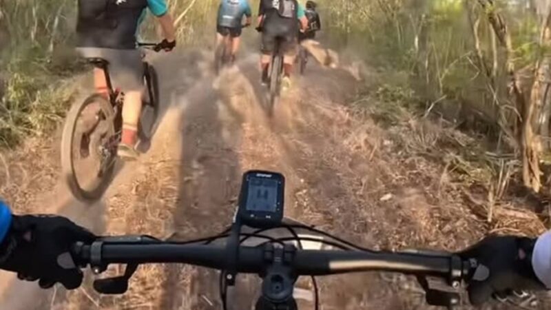 Venado derriba a dos ciclistas del grupo Perruchas en una rodada en Dzidzantún