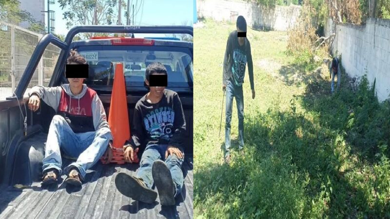 Trabajo comunitario: Policía pone a cachapear a dos ladrones detenidos en Tixkokob