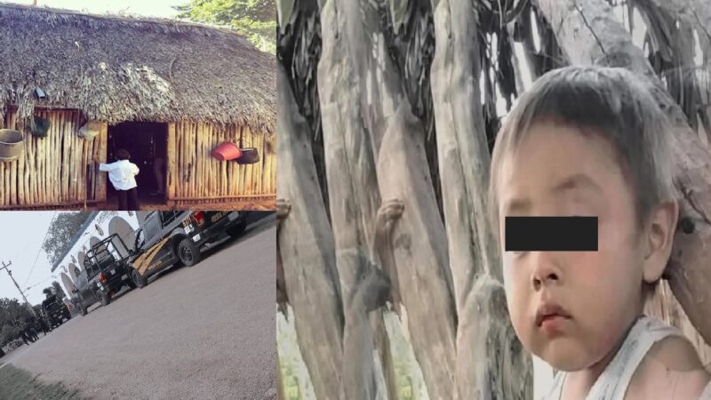 Desaparece un niño de dos años en monte de Huechembán: Abuelitos dicen se lo llevo los Aluxes Mayas