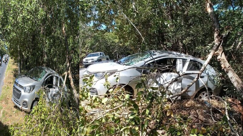 Acelerado conductor de un Uber se estrella contra un árbol en Progreso