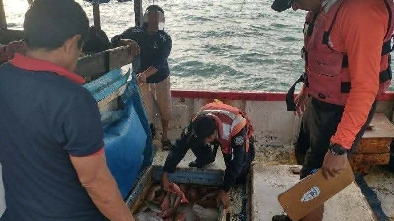 Aseguran en Progreso un barco sin permisos de pesca y con más de una tonelada de producto marino
