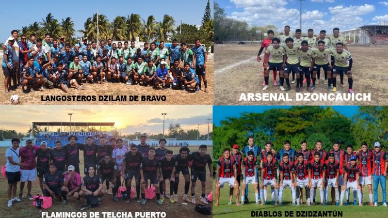 Cinco equipos de la zona costa Pepe Casellas pasan a la segunda ronda del torneo se ascenso intermedia estatal