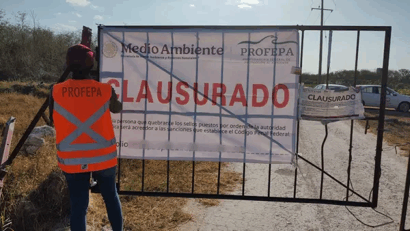 La Profepa Clausura Total Temporal la granja de cerdos de Santa María Chi