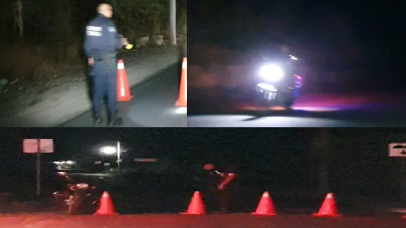 Comuna y policía de Dzidzantún oculta trasiego de pepino de mar y pulpo: Esta madrugada detuvieron una camioneta  