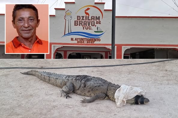 Vecinos atrapan un cocodrilo y se lo tiran al alcalde de Dzilam, que no quiso pescarlo