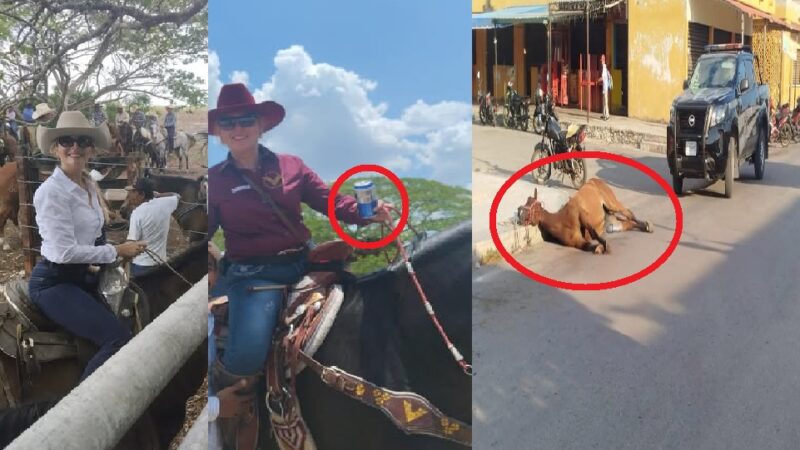 Yegua muere de un golpe de calor en el centro de Dzidzantún después de una cabalgata entre Cansahcab y Yobaín