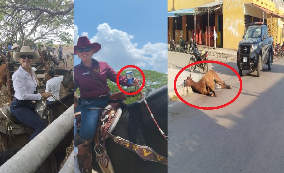 Yegua muere de un golpe de calor en el centro de Dzidzantún después de una cabalgata entre Cansahcab y Yobaín