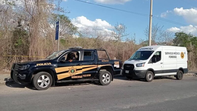 Vecinos de San José Tecoh hallaron en un terreno baldío un cadáver en avanzado estado de descomposición