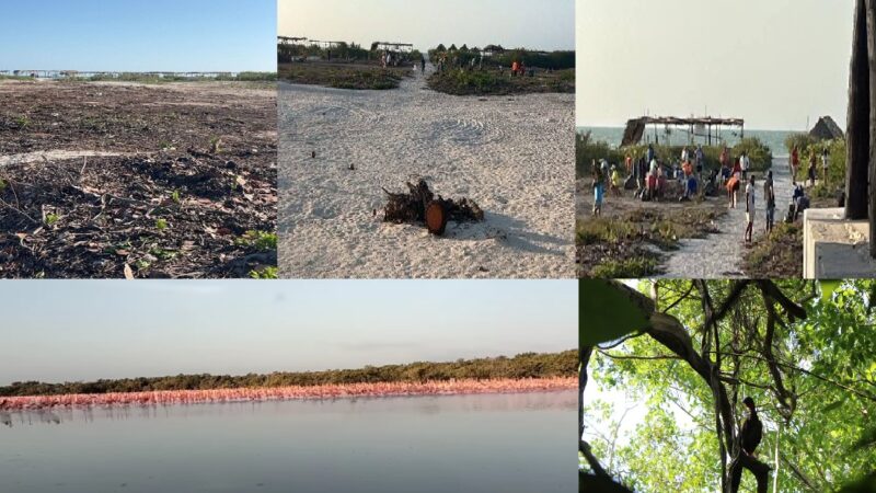 Alcaldesa tras 10 hectáreas de terrenos de Sisal con valores multimillonarios, dicen porteños