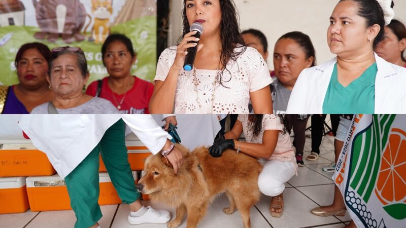 La Comuna de Oxkutzcab vacunará a cuatro mil perros y gatos, en nueve días