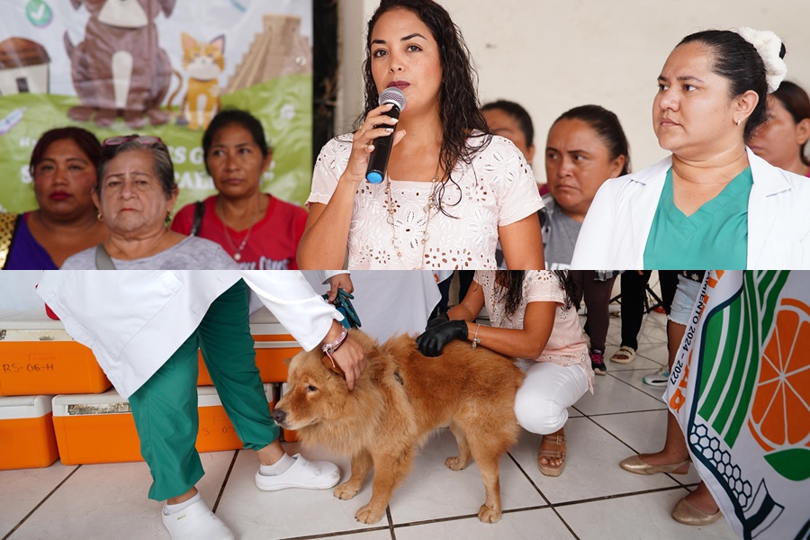 La Comuna de Oxkutzcab vacunará a cuatro mil perros y gatos, en nueve días