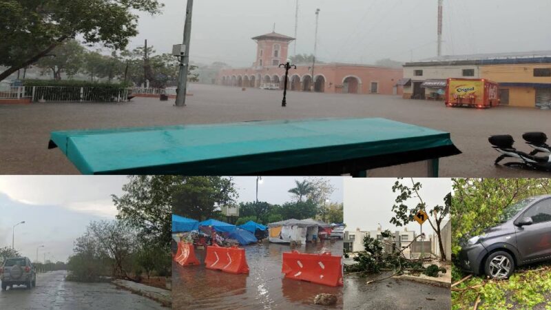 Intensas lluvias y fuertes vientos derriban árboles y dejan daños materiales en Mérida, Valladolid y Maxcanú