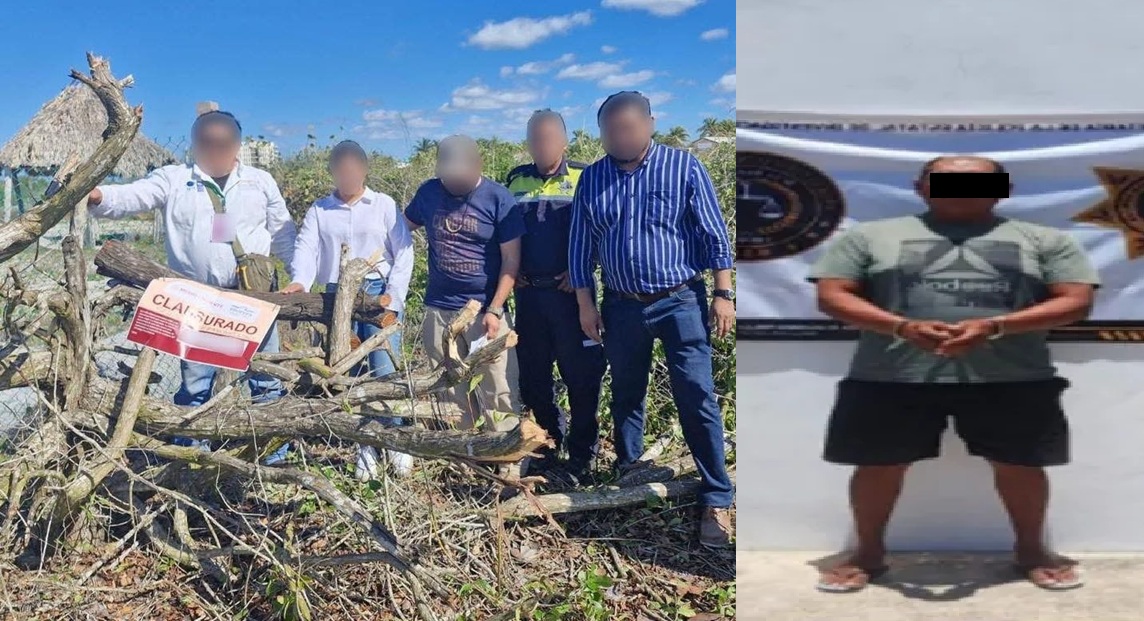 Detiene, encarcelan y vinculan a proceso a dos personas por deforestar zonas de Manglares en Sisal