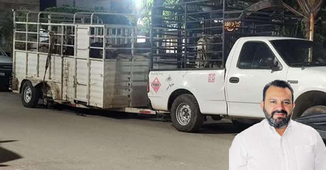 Detiene con ganado robado “abigeato” al exalcalde de Izamal, Warnel May
