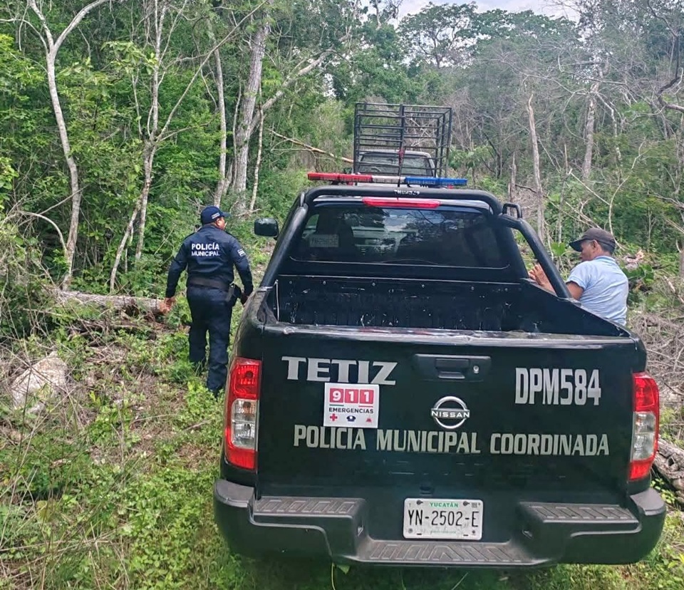 Sigue la búsqueda de un joven desaparecido en montes de Tetiz