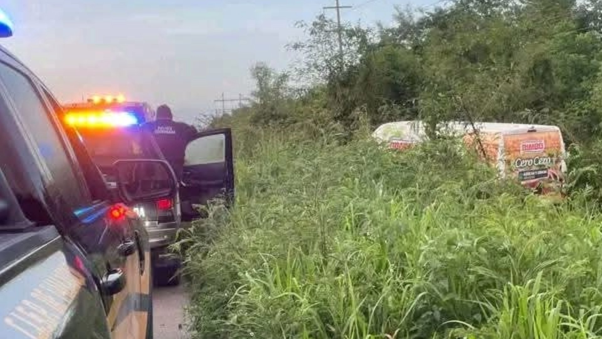 Un camión repartidor de Bimbo termina dentro de la maleza en la vía Temozón- Calotmul
