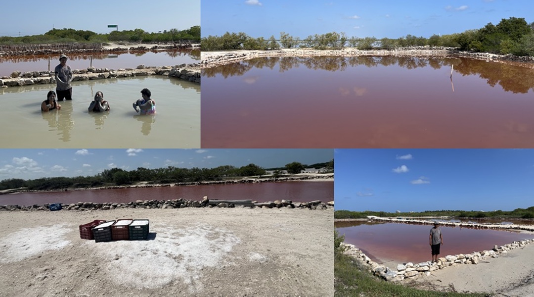 El agua de la salinera Xtampú mejora la salud: Experiencia entre flamencos y peces