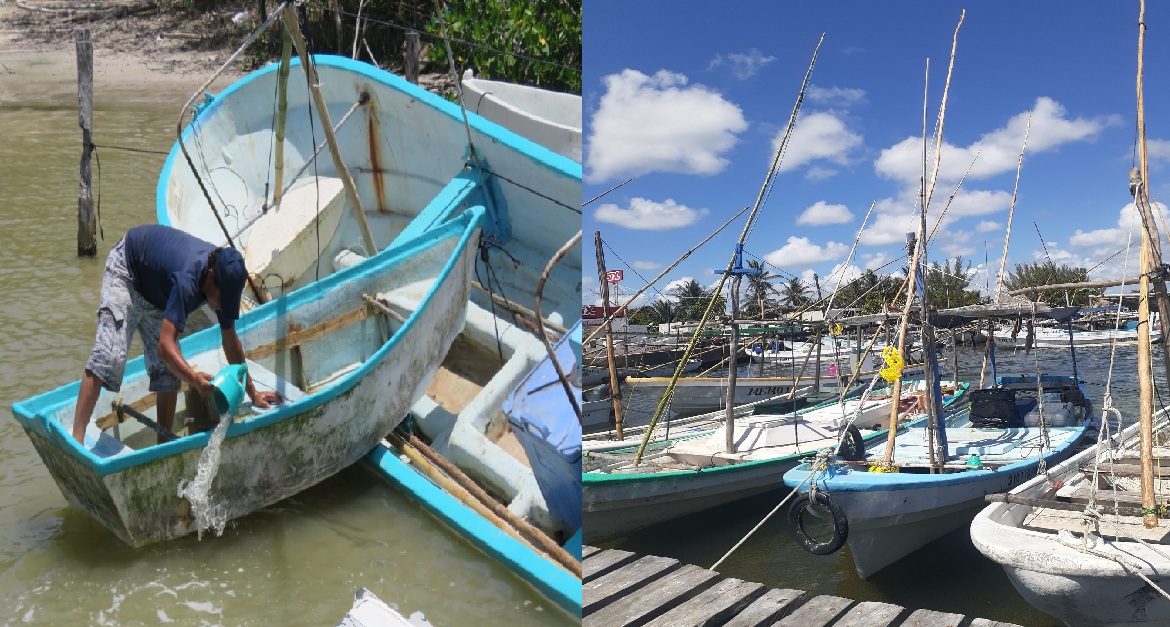 Mañana miles de pescadores saldrán a la captura de pulpo en el litoral yucateco