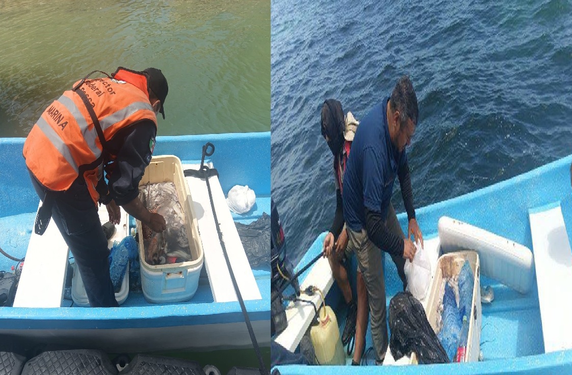 La Conapesca detuvo a una lancha de buzos con langosta y pulpo chico en Progreso