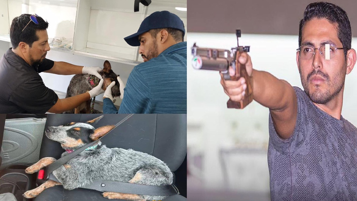 Juez de tiro detenido en Cd. del Carmen acusado de disparar y lesionar a la perrita “Sicilia” en Yucatán