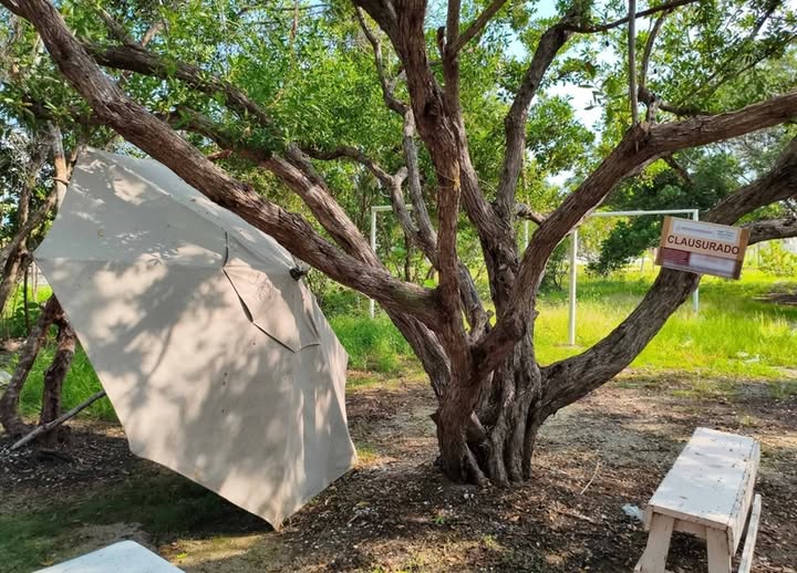 Clausuran tres predios en la Reserva de la Biosfera Ría Celestún