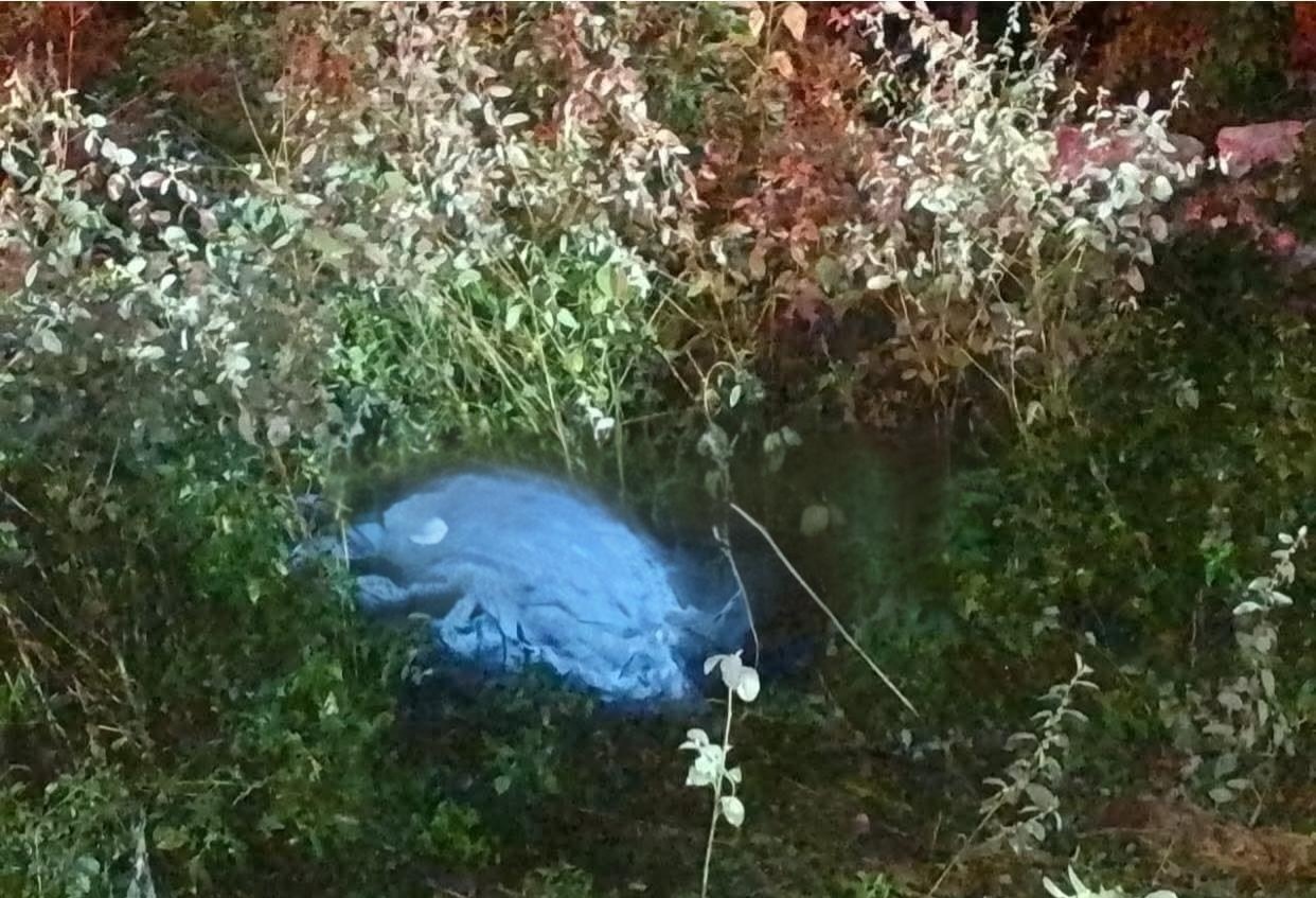 Carretera de la muerte “Dzilam González- Xbec” cobra la vida de un joven de Buctzotz