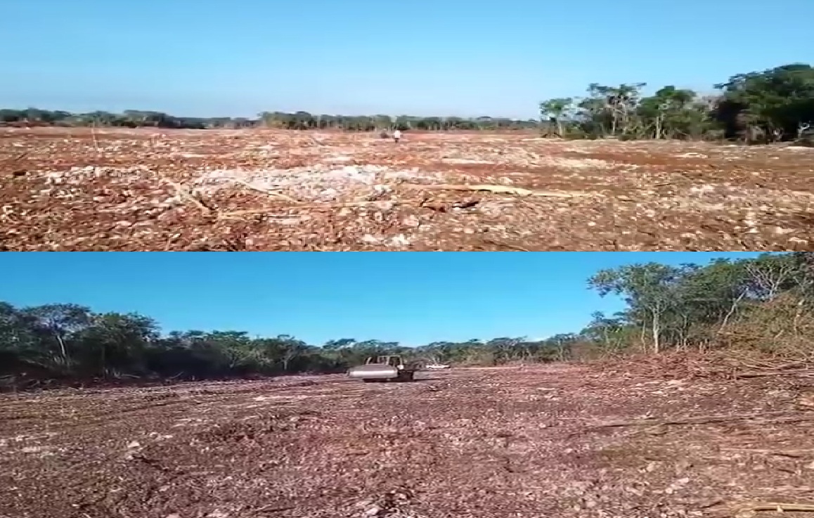 Grupo empresarial Crio destruye Zona Arqueológica de Tzemé: Recibe protección del gobierno de la 4T