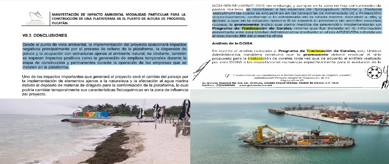 Renacimiento Maya devasta corales, arrecifes, pastos marinos y playas en Progreso