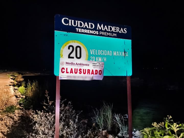 Profepa clausura la obra de urbanización de Ciudad Maderas en Chelem