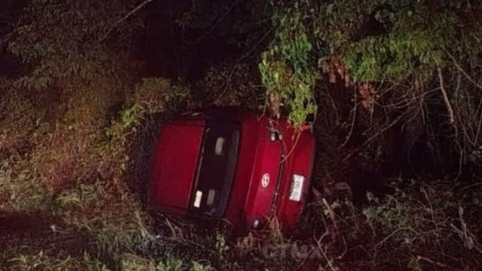 Un conductor dormita y termina dentro de la maleza en la vía Temax – Cansahcab