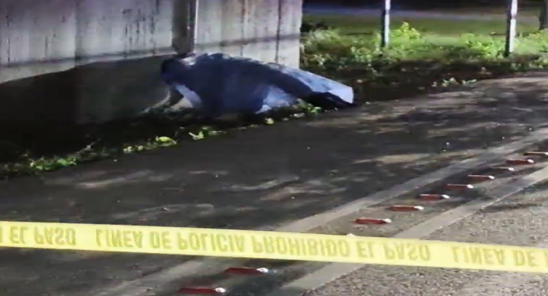 Hallan el cadáver de un hombre en el periférico de Mérida, bajo el puente a la salida de Progreso