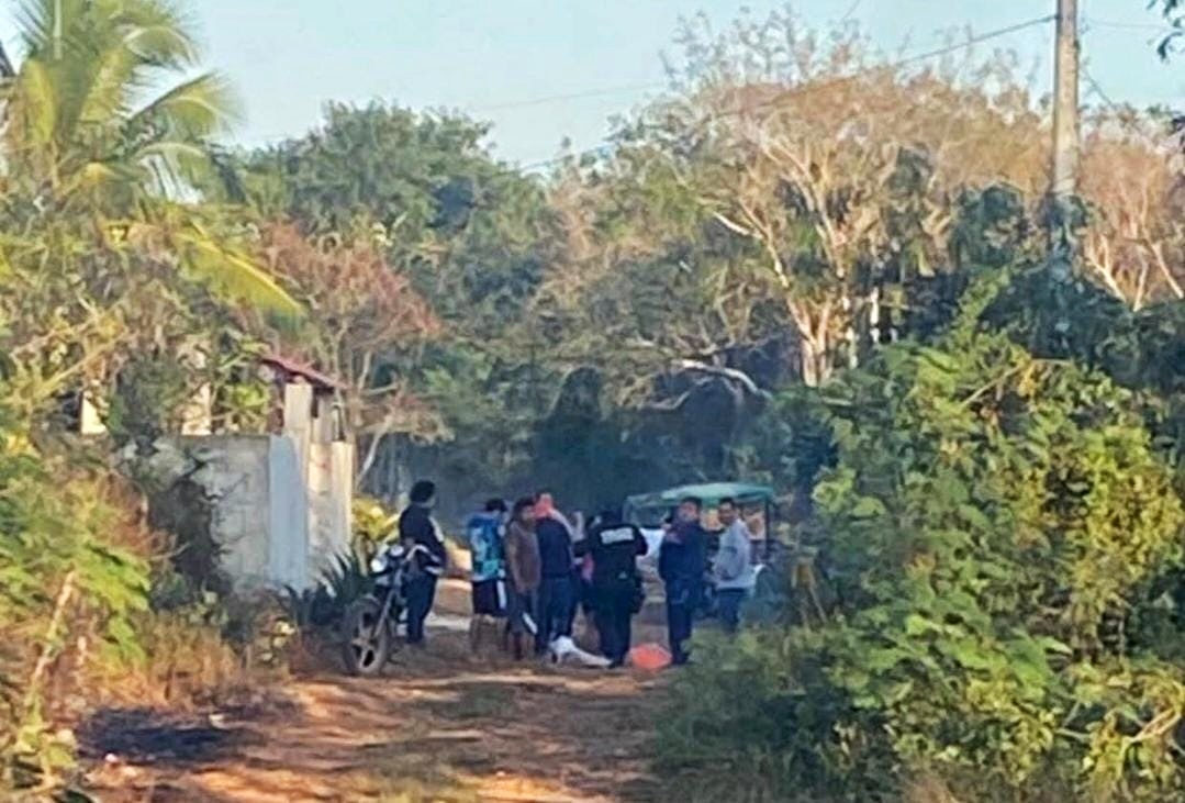 Abejas africanas atacan y matan a un abuelito en Temax