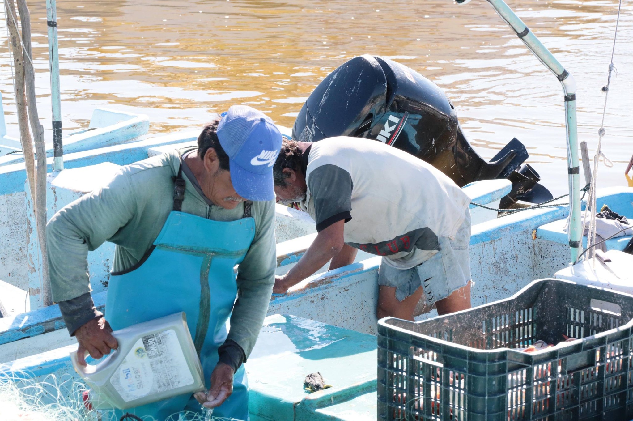 Inicia la “Veda” del mero, pescadores yucatecos recibirán apoyos de 6,600 pesos