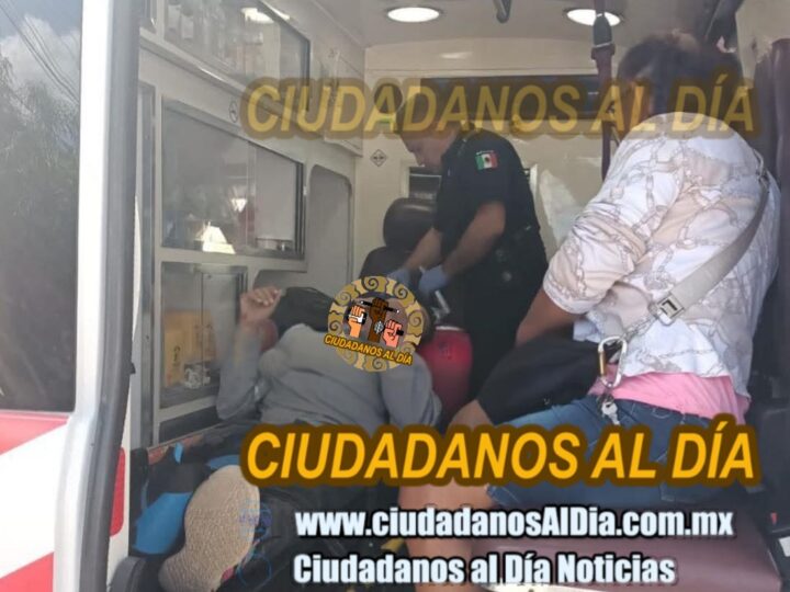 Un motociclista atropella un perro, derrapa y se fractura una pierna en Temax