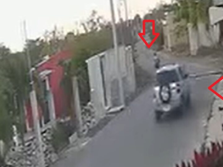 El conductor un camioneta Ford Escape un peligro para perritos y niños en Motul