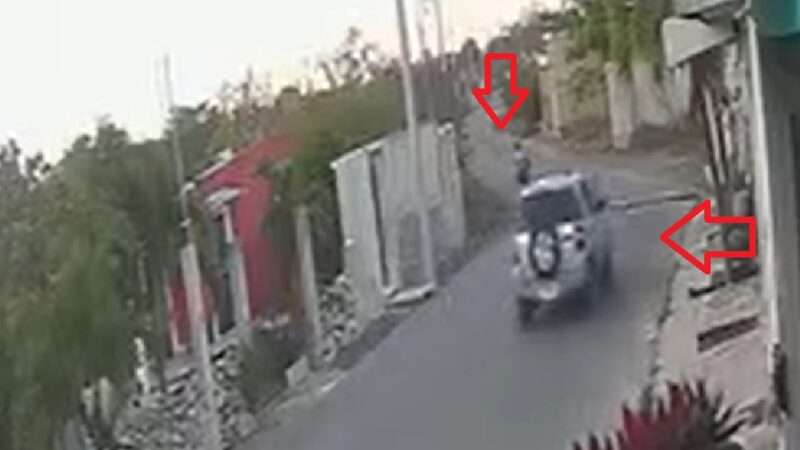 El conductor un camioneta Ford Escape un peligro para perritos y niños en Motul