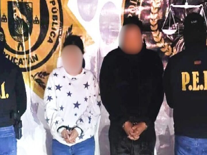 Detiene a una pareja con droga, dinero y un mono araña en el fraccionamiento Dzununcán
